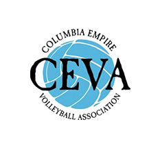 Ceva Volleyball