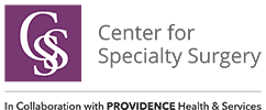 CSS Logo
